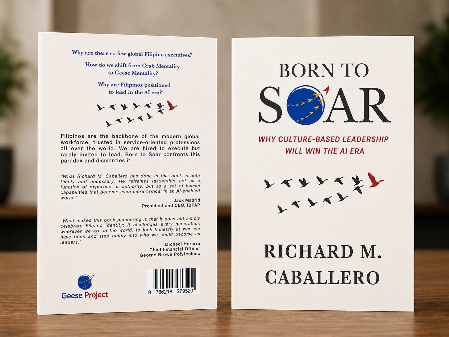 Born to Soar front cover and back cover with endorsements standing side by side