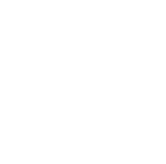 THE FUTURE OF FINANCE-1asset