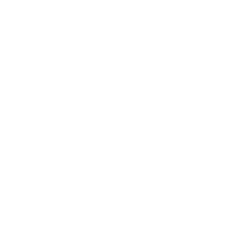 DISRUPTING THE DISRUPTER_AN EQUITY LENS ON AI-asset1