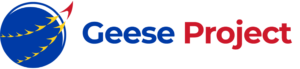 The Geese Project