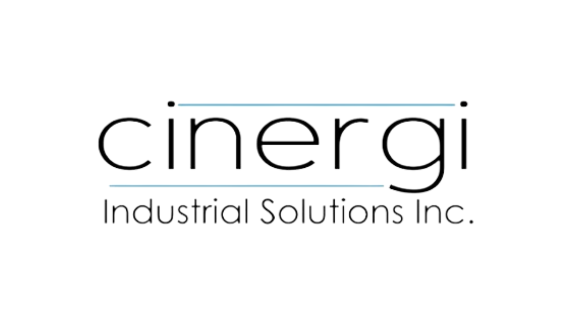 Case Study: Geese Project Transforms Leadership Team of Cinergi Industrial Solutions Inc.