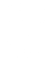 Icon of a person linked to circuit nodes standing on a target, representing AI-augmented decision-making